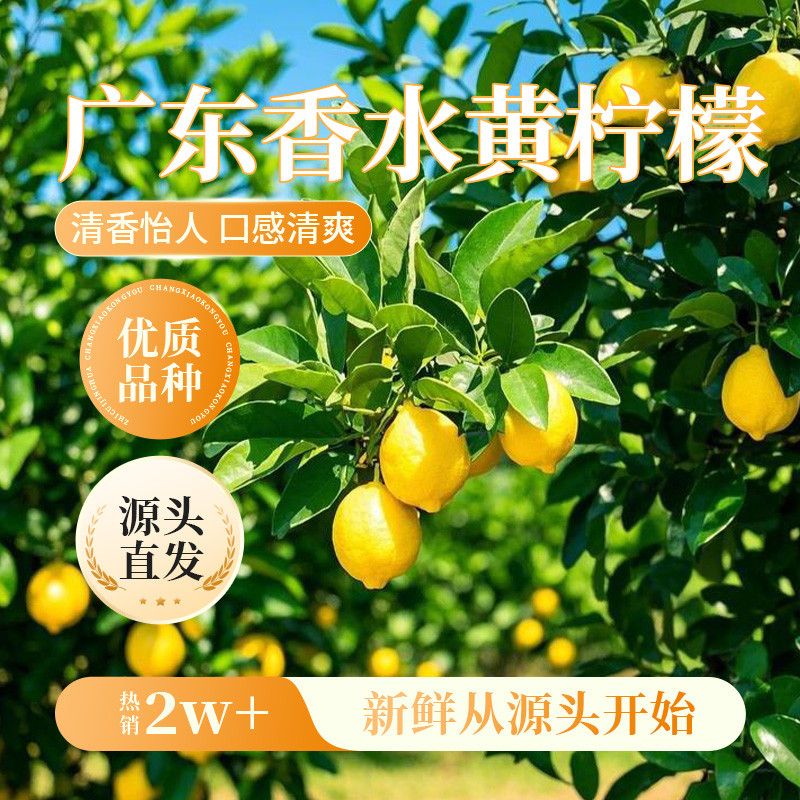【广东黄香水柠檬】泡水泡茶商用自制水果零食小吃休闲食品网红爆款