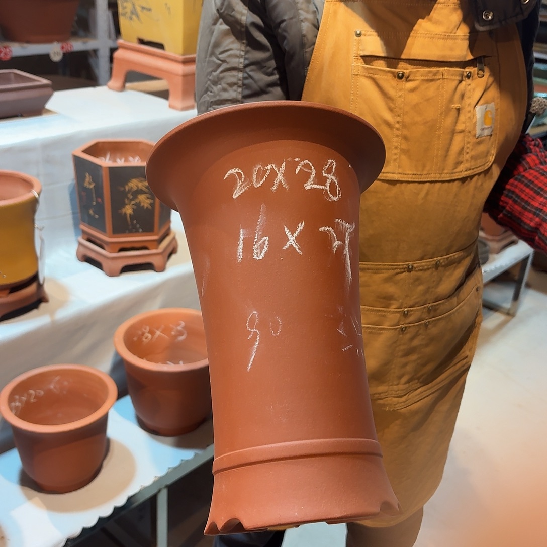 束腰兰花红色一个