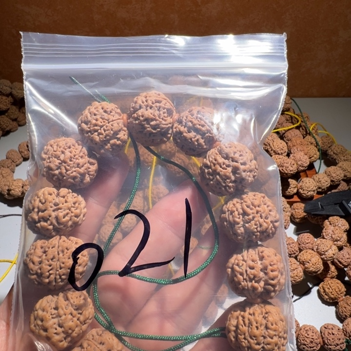 吊坠金刚菩提21号金刚
