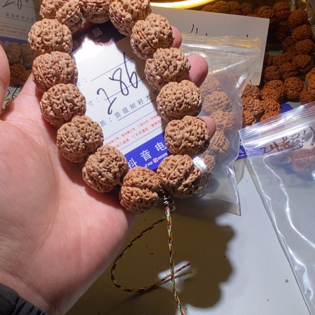 金刚菩提手串286号尺寸24