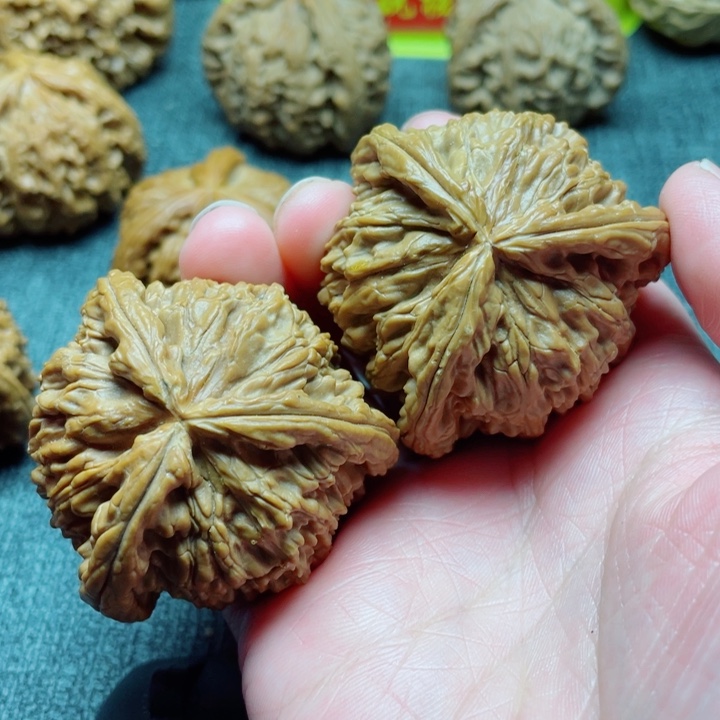 春***?手工三棱白狮子三棱