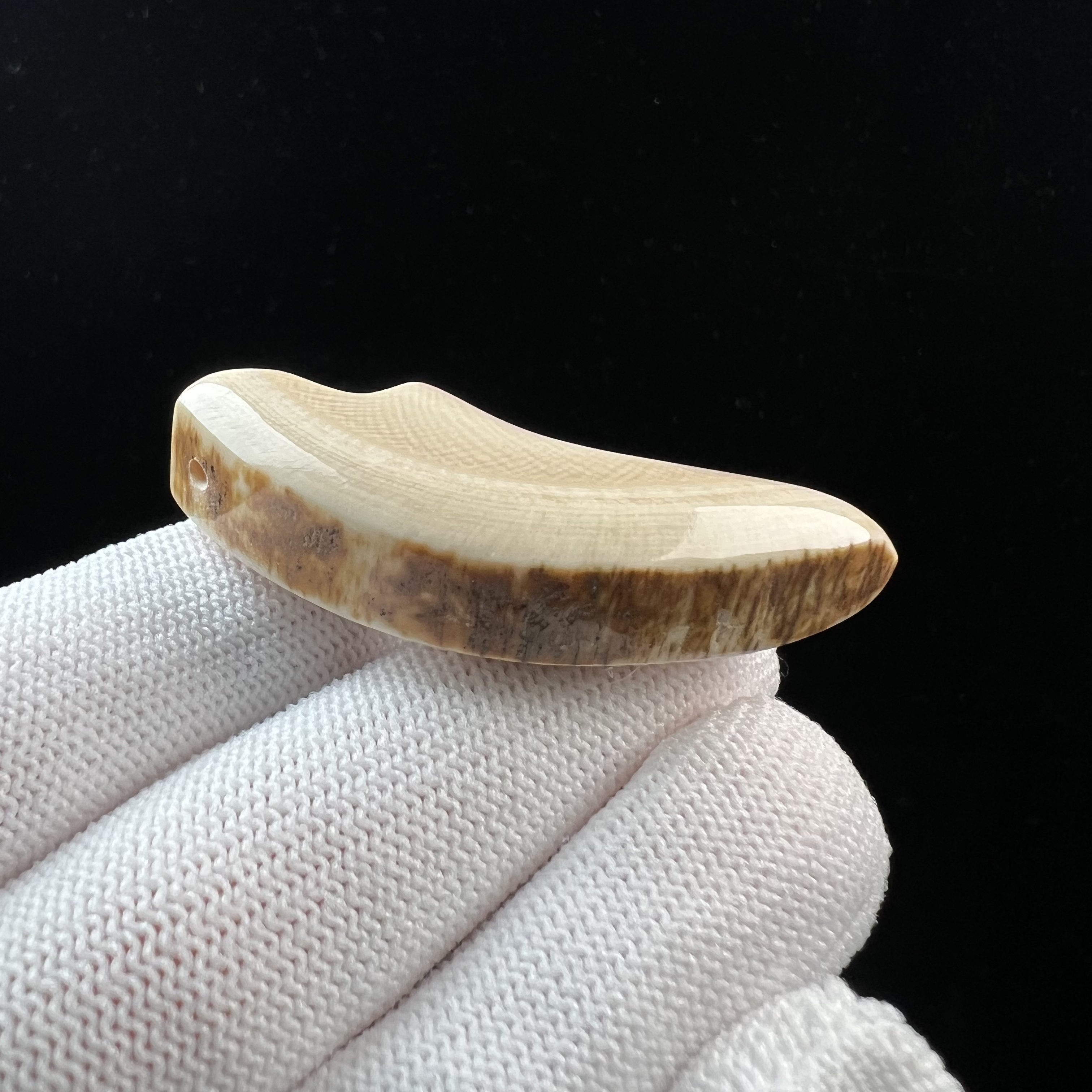 D4183天然猛犸牙 牙尖 49mm支持鉴定 假一罚四