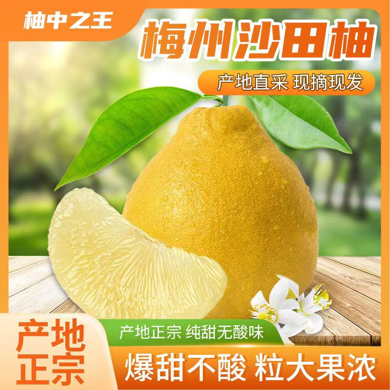 30/50斤 正宗梅州沙田柚原产地现发纯甜无酸皮薄肉厚