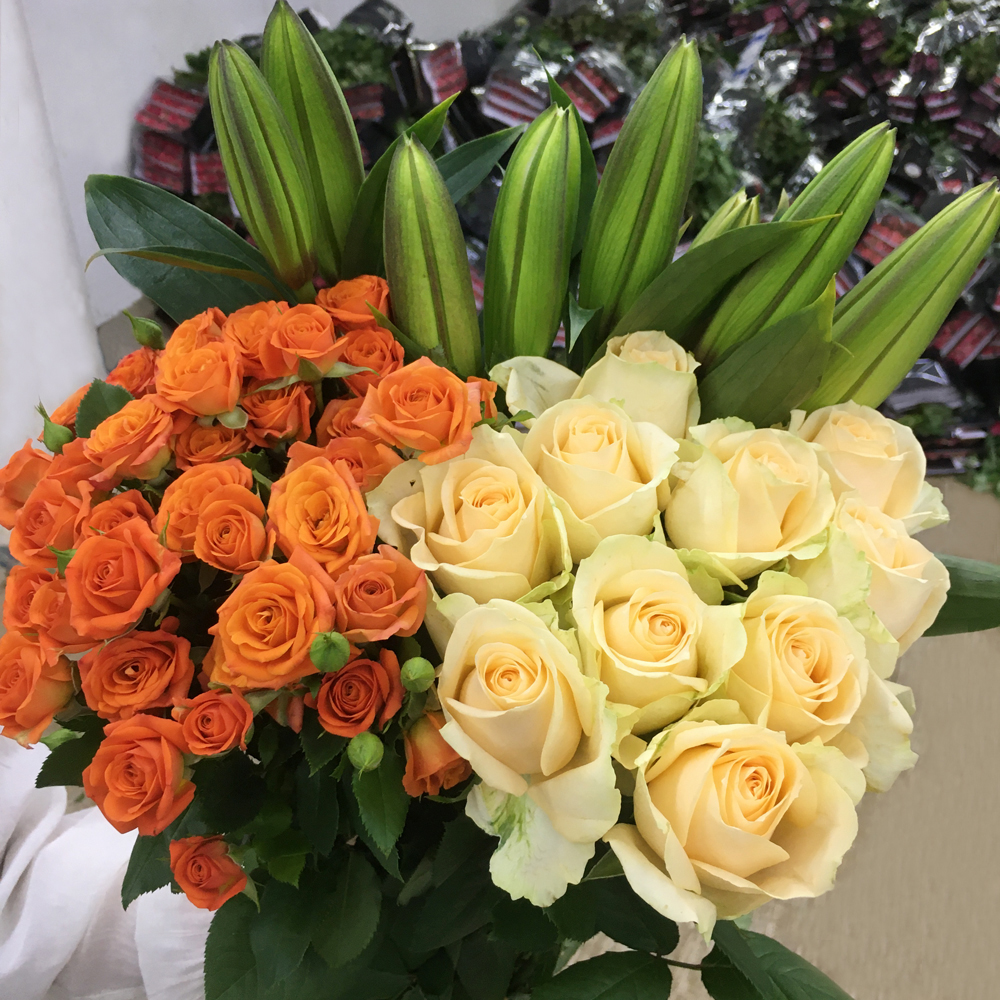 【玫瑰组合】单头玫瑰新鲜鲜花花束云南鲜花基地直发适合客厅装饰