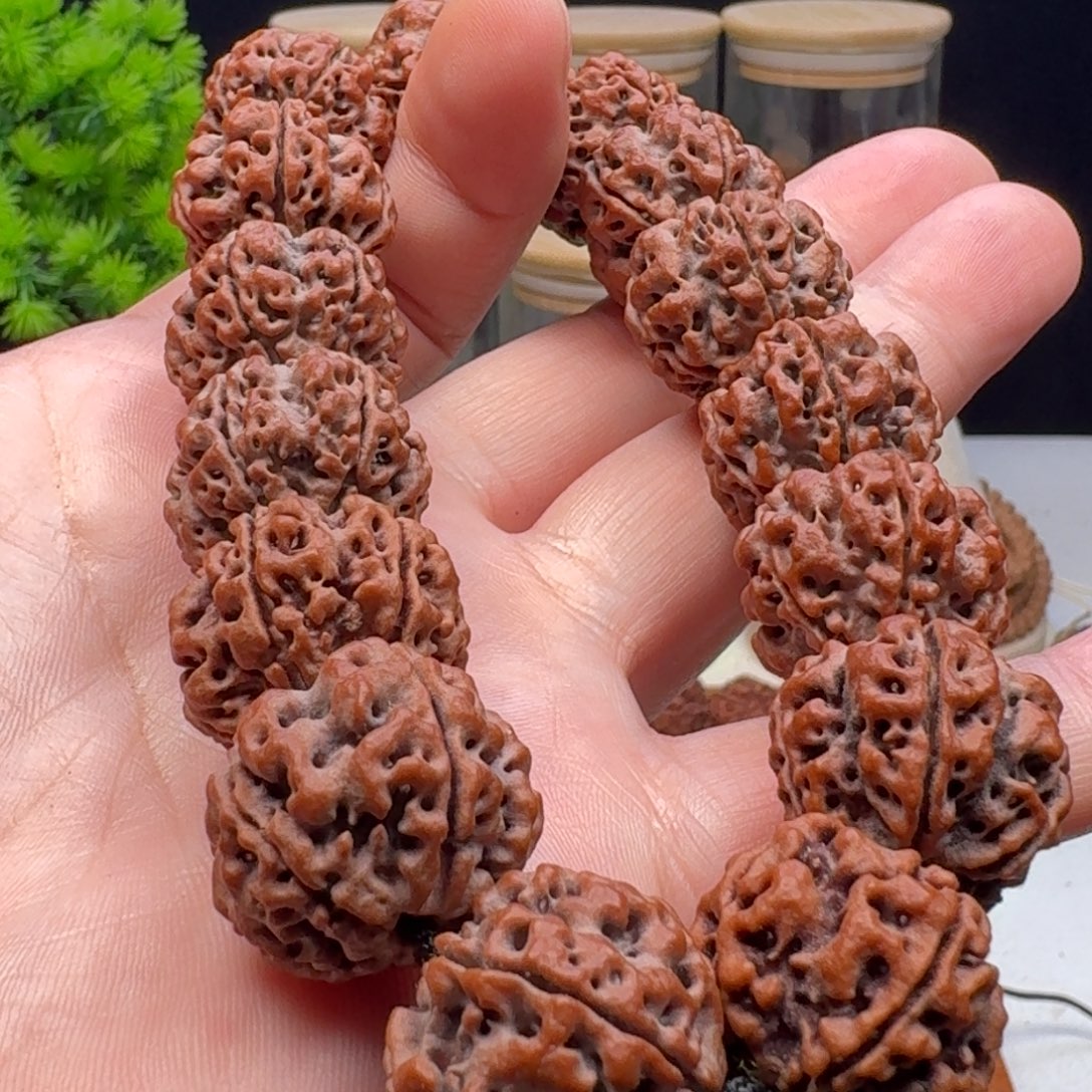 手串金刚菩提粗筋双龙