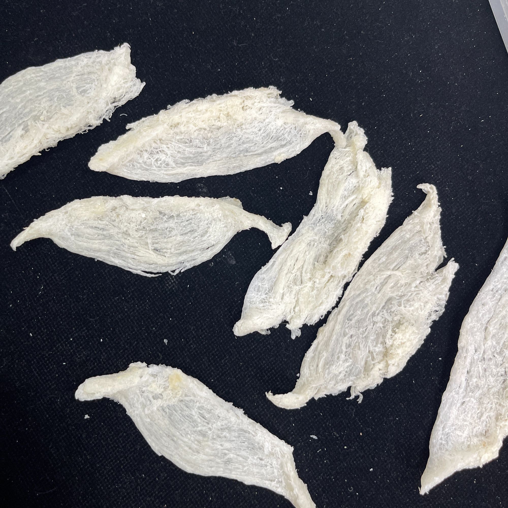 雨季土豪VIP大肉条盏肉条发头大蛋青浓