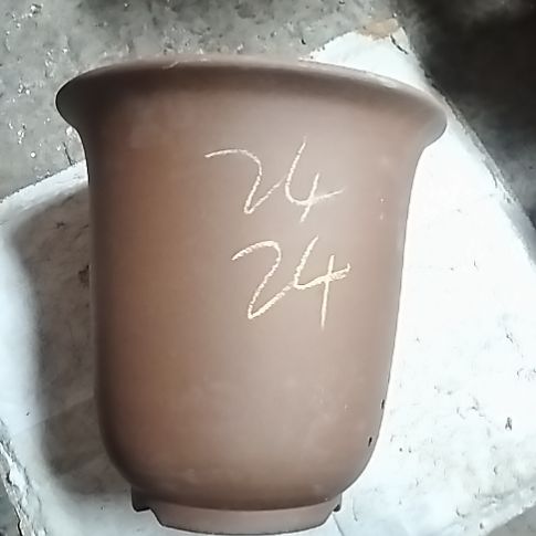 特大金钟一个花盆花泥