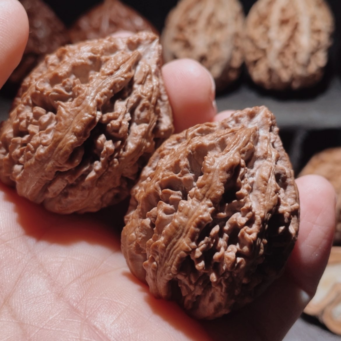 【闪购商品】文玩核桃把件C****标东北楸子101