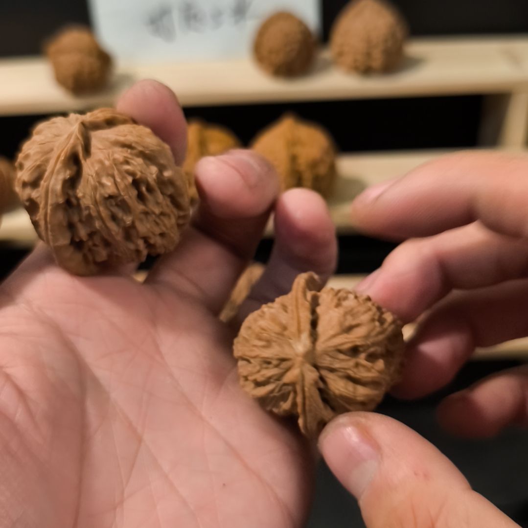 文玩核桃吊坠39白狮子