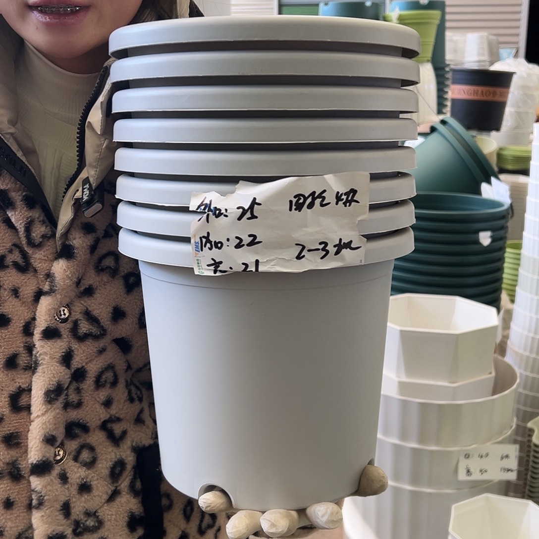 四季盆4#灰白8个无托