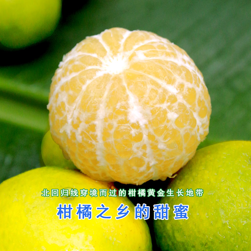 【皇帝柑礼盒】当季新鲜水果 香甜多汁柑橘桔子橙子