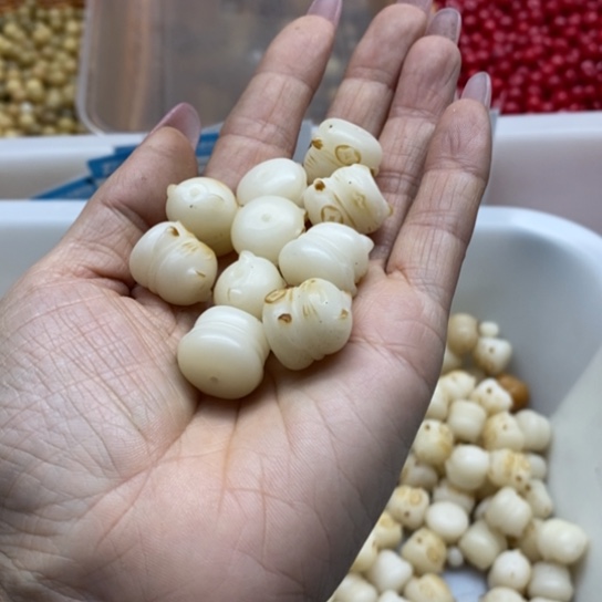 白玉菩提吊坠微瑕17炭烤猫5卡灯牌宠5