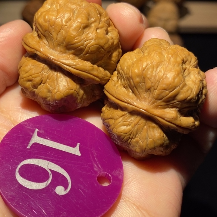 核桃飞蟾疙瘩包核。桃3.6