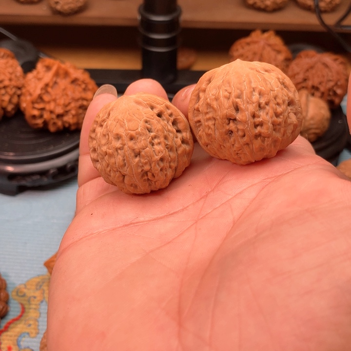 左**点摆件摆件摆件摆件摆件