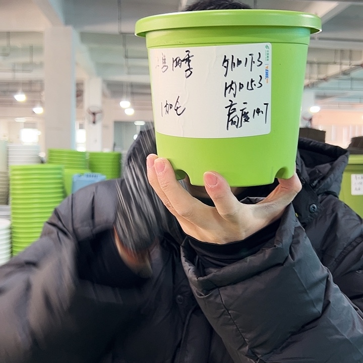 特价2号四季口17高14.7果绿无托10只