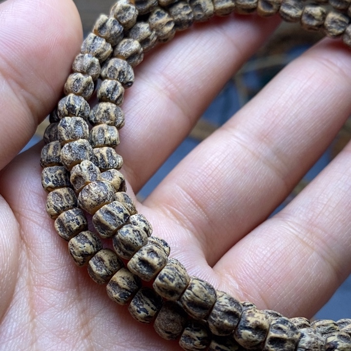 吊坠柏香籽/百香籽