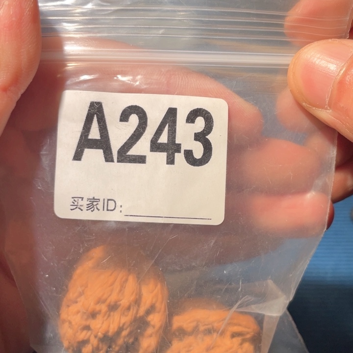 文玩核桃把件243虎头