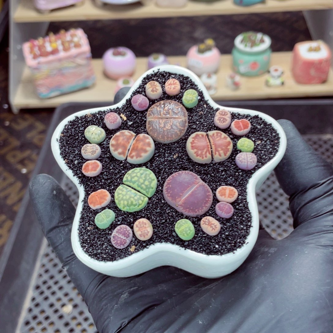 夜间零下地区拍保温箱w5012