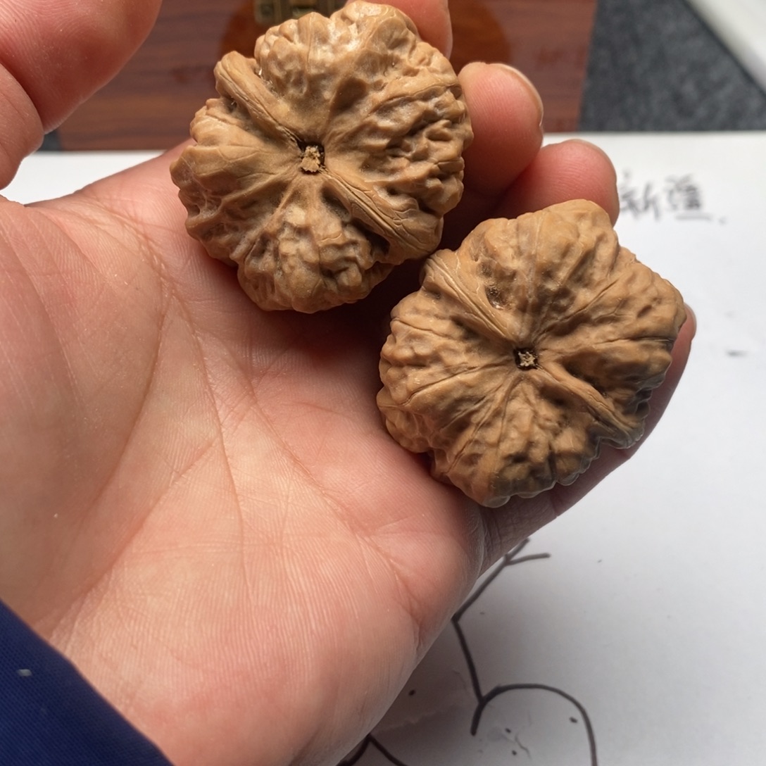 S***）好的我真的是太喜欢这个节目的啦