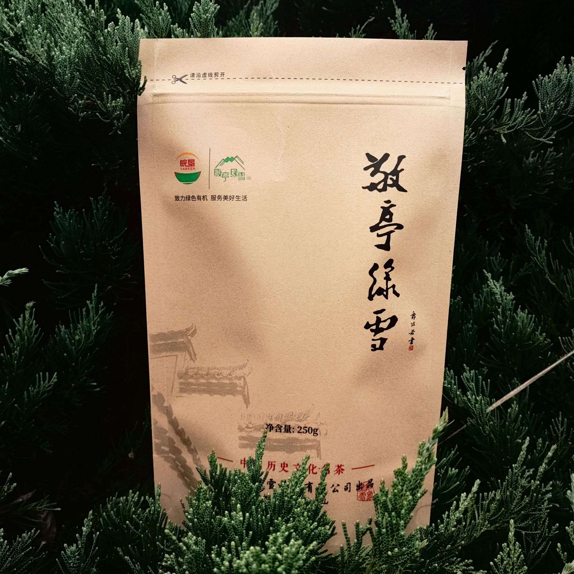 敬亭绿雪绿茶2025年新茶宣城敬亭山原产地明前茶250g牛皮纸袋