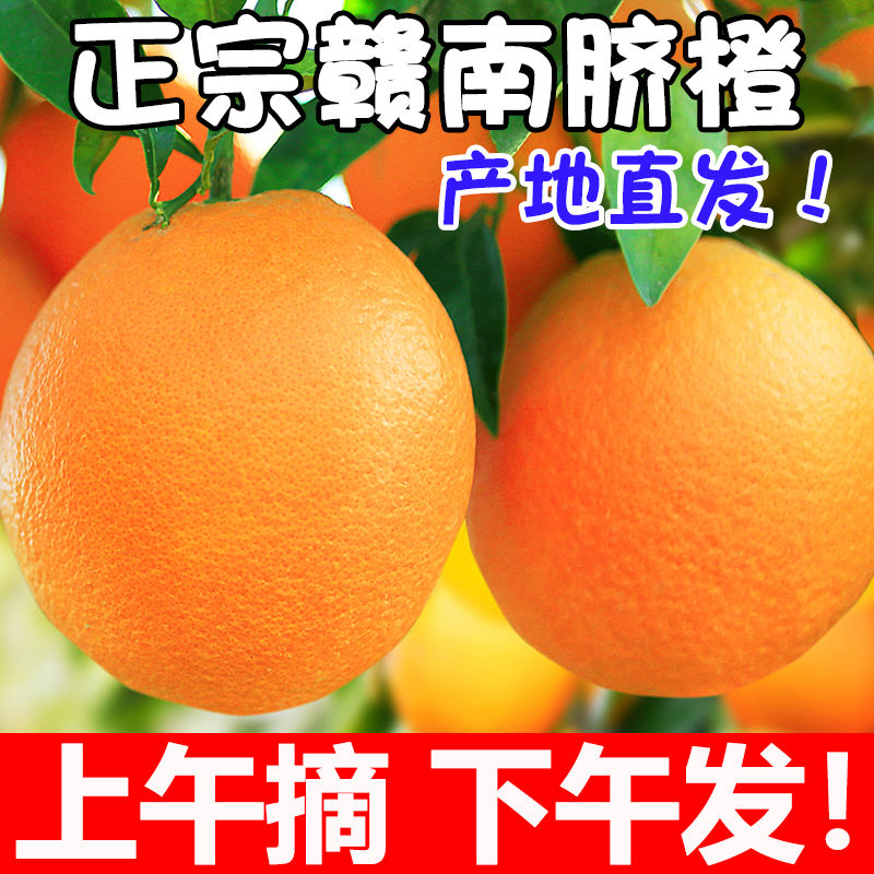 江西赣南脐橙4斤8斤果肉饱满汁水足商用榨汁专用橙子手剥橙皮厚
