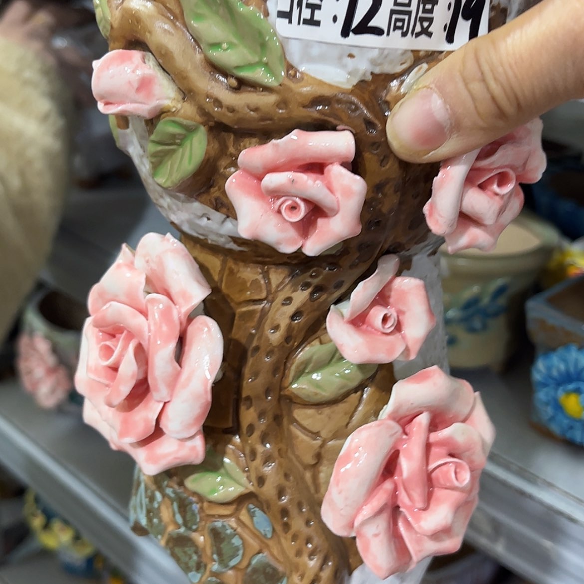 【闪购商品】红陶福利