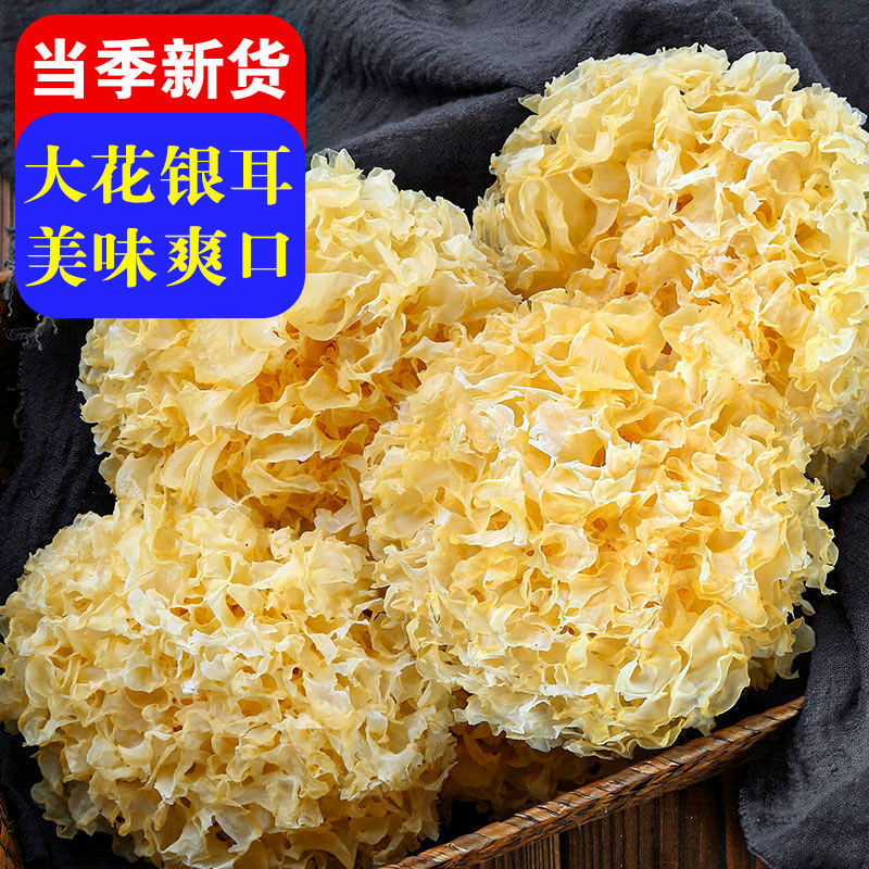 大花银耳古田银耳干货特产白木耳雪耳新鲜银耳百合莲子羹大朵银耳