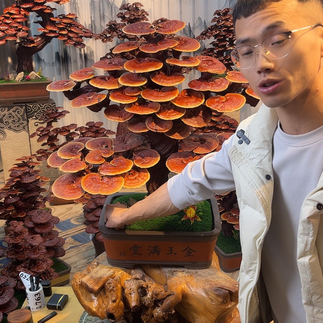 无花朵888888888888