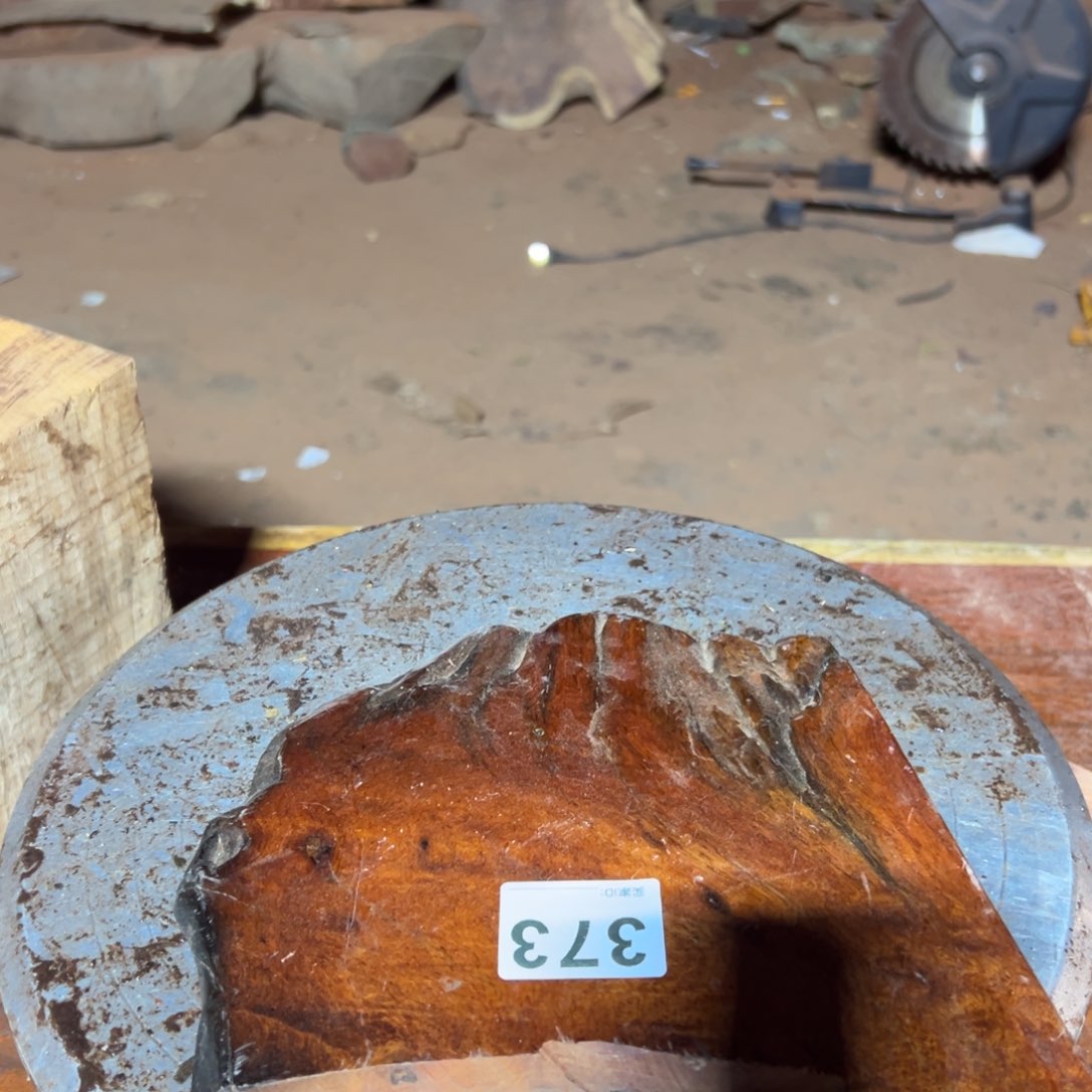 大果紫檀（缅甸花梨）