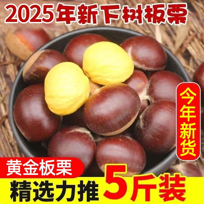 【正宗大板栗】2025年新鲜板栗现摘板栗当季生栗子非锥栗包邮蔬菜