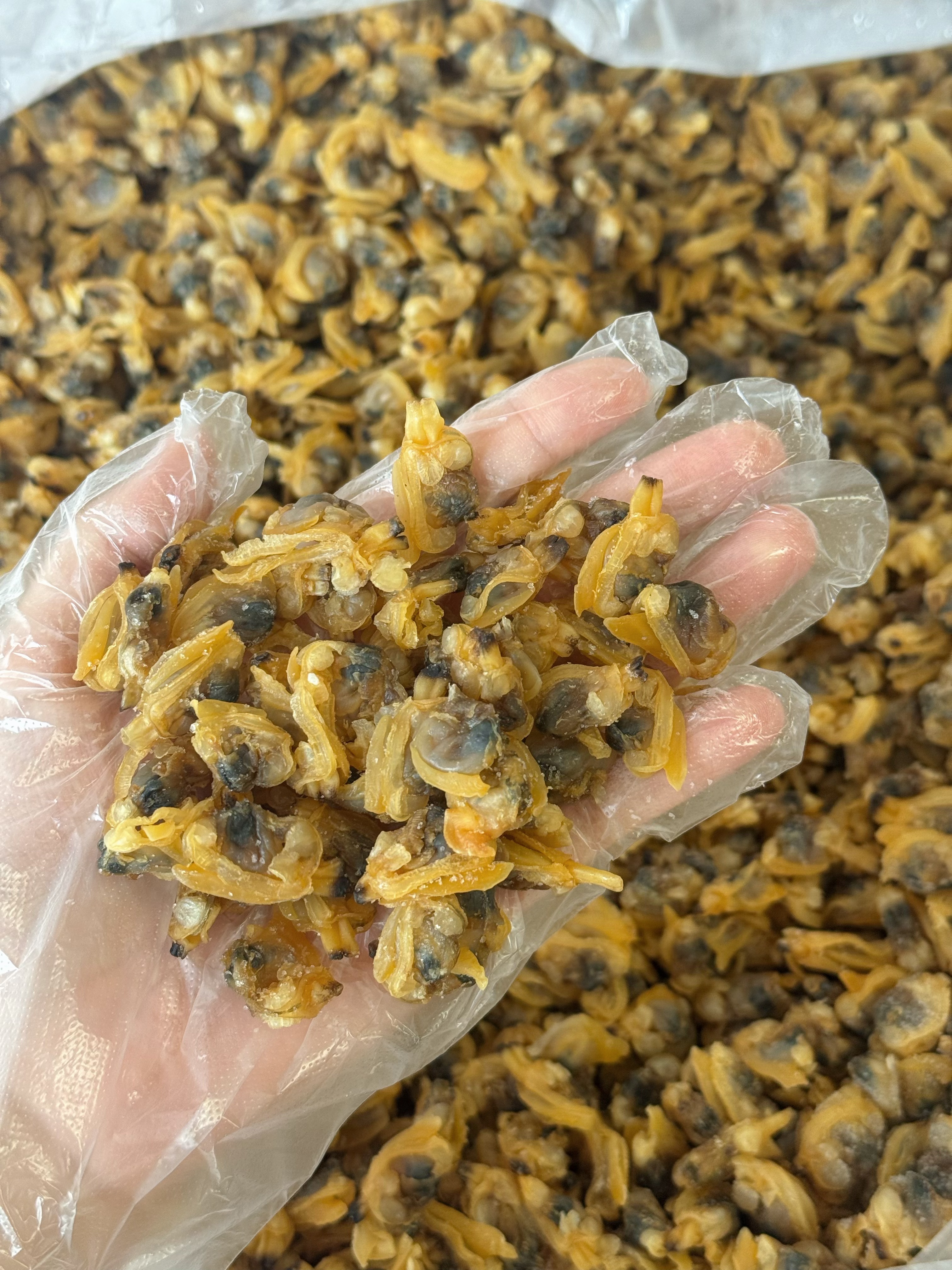 青岛蛤蜊肉干 鲜甜好吃 不碜牙