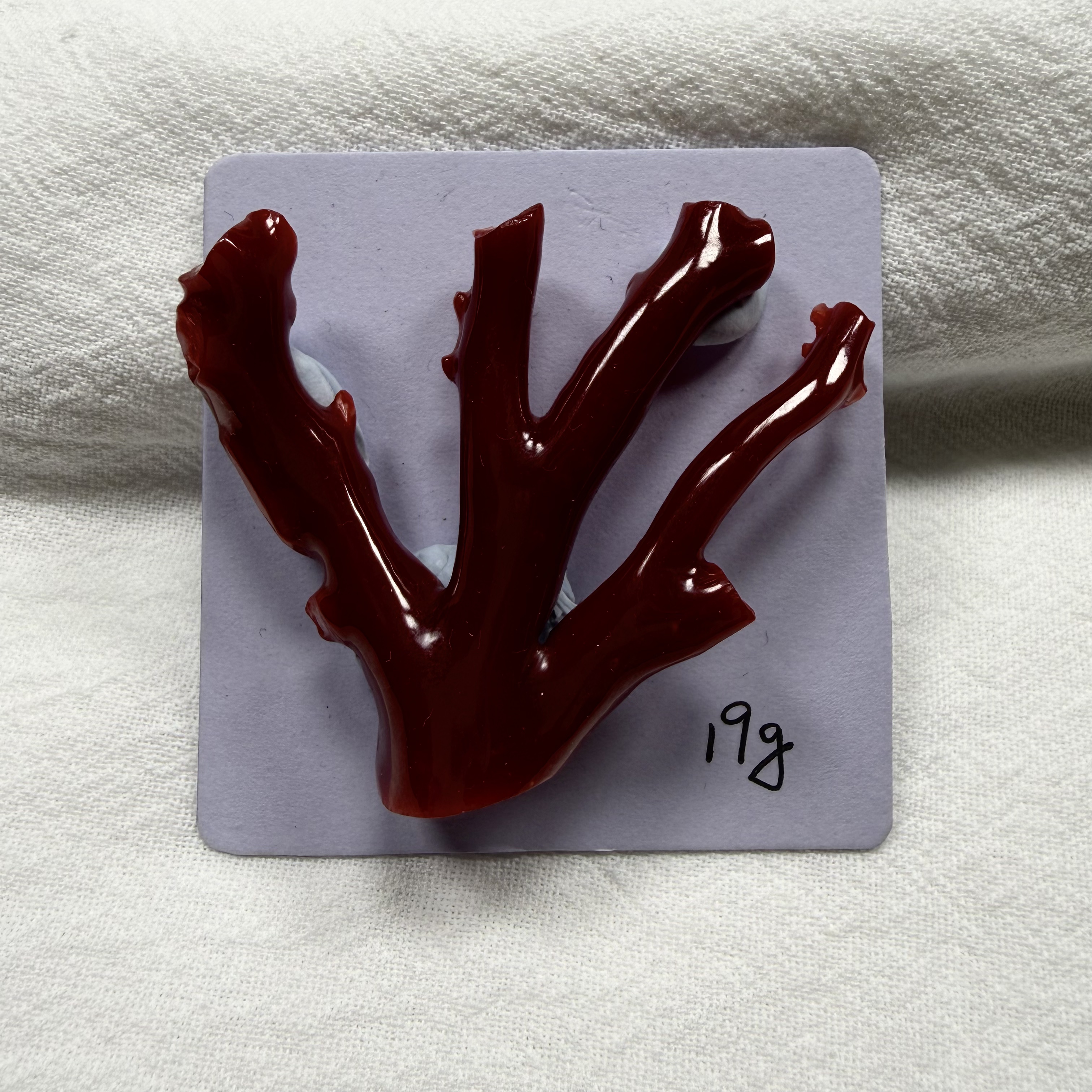 碧海丹心-天然阿卡红珊瑚随型树杈吊坠——18011