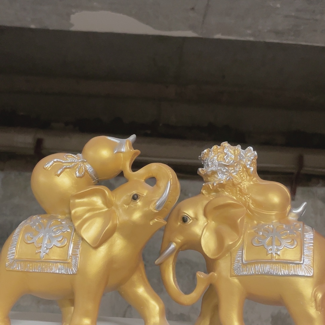 金色大象11111111111