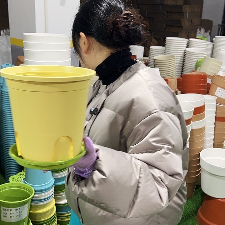 正品圆控口18高18黄色8只带托