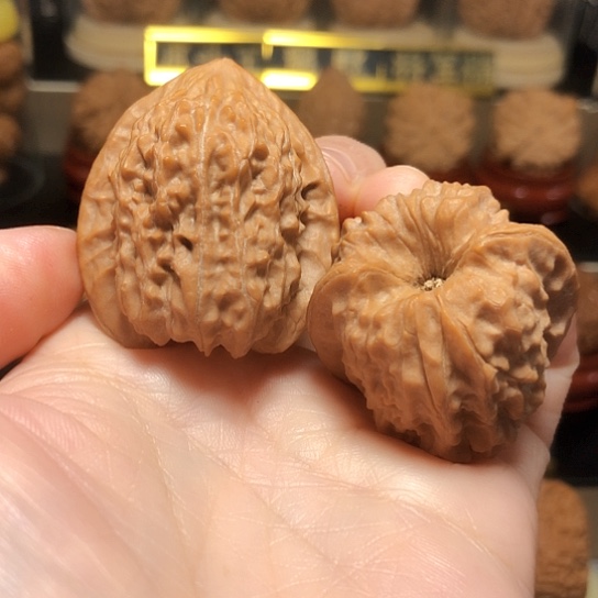 精品野生三分之一凹