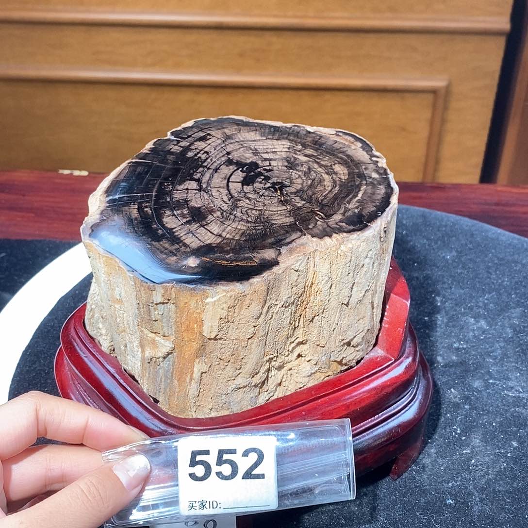 硅化玉天然北票硅化玉原石未镶嵌天然北票硅化玉原石