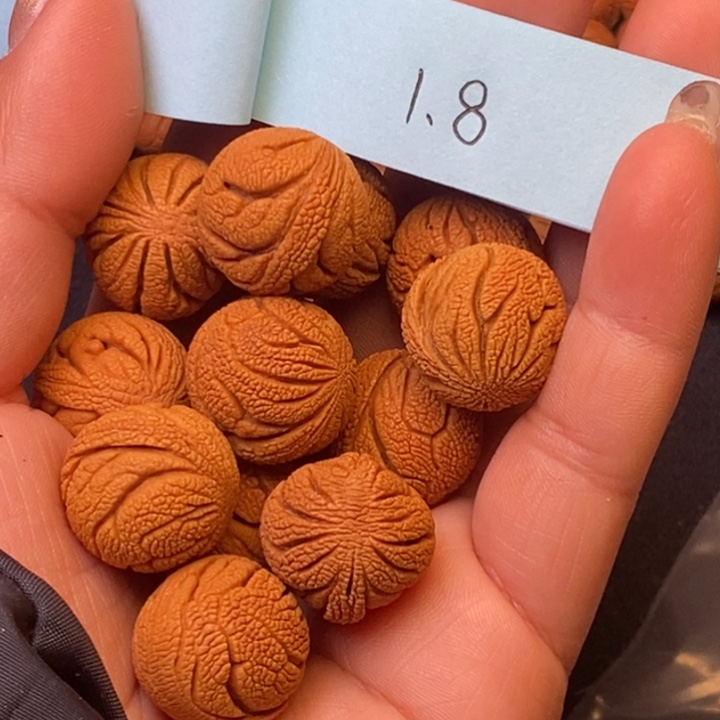 秦岭龙纹桃核14颗