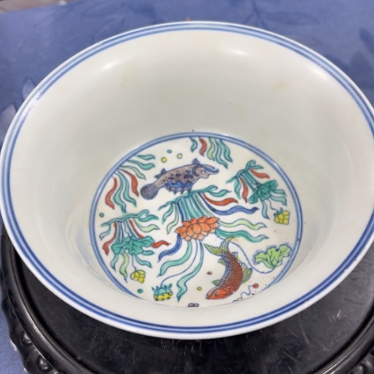 【闪购商品】碗点点滴滴点点滴滴