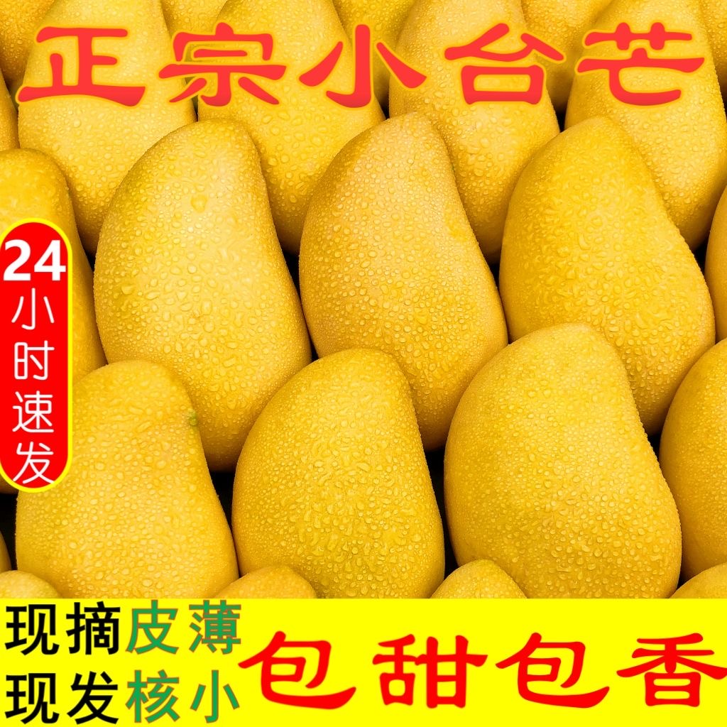 广西小台农芒果鸡蛋芒果新鲜水果应季热带水果产地现摘直发水果