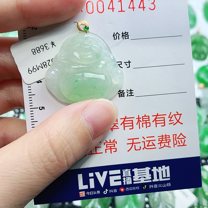 翡翠未镶嵌颈饰11111111