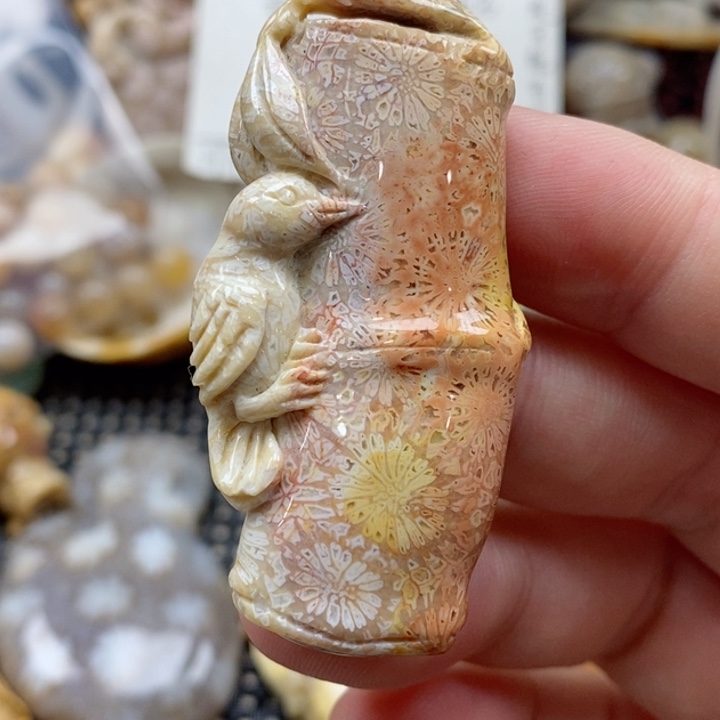 硅化珊瑚（珊瑚玉）颈饰未镶嵌