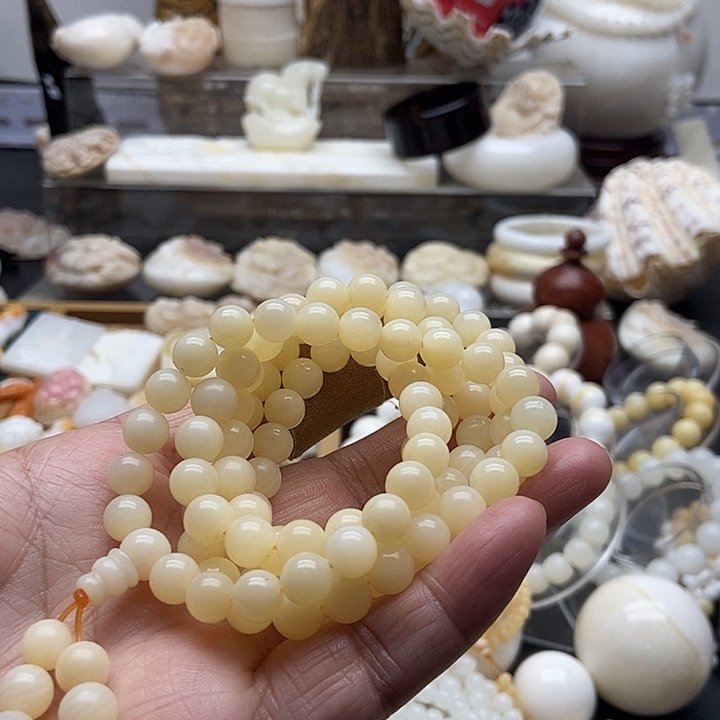 非金属贝壳全黄全品0.8多圈