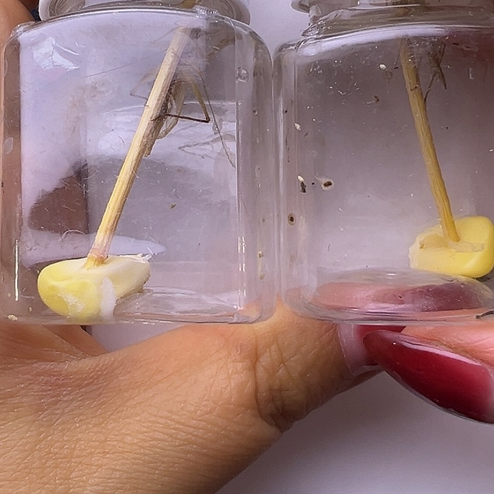 大***轮哈哈哈哈哈哈哈哈哈哈哈哈哈哈哈哈