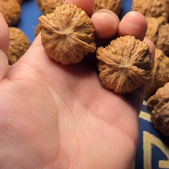 40全品无修房山磨盘