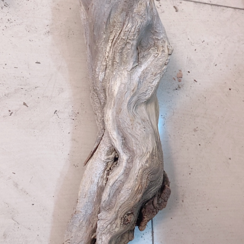 【闪购商品】柏木今*说太行天下第一