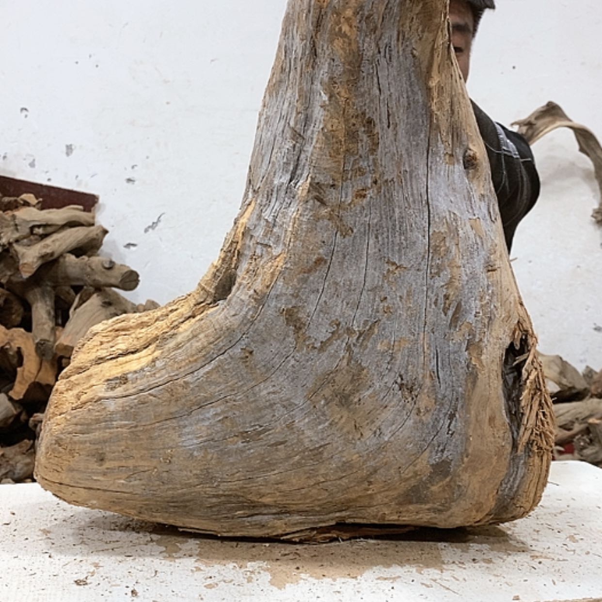 【闪购商品】柏木龍*轩我们都是好孩子