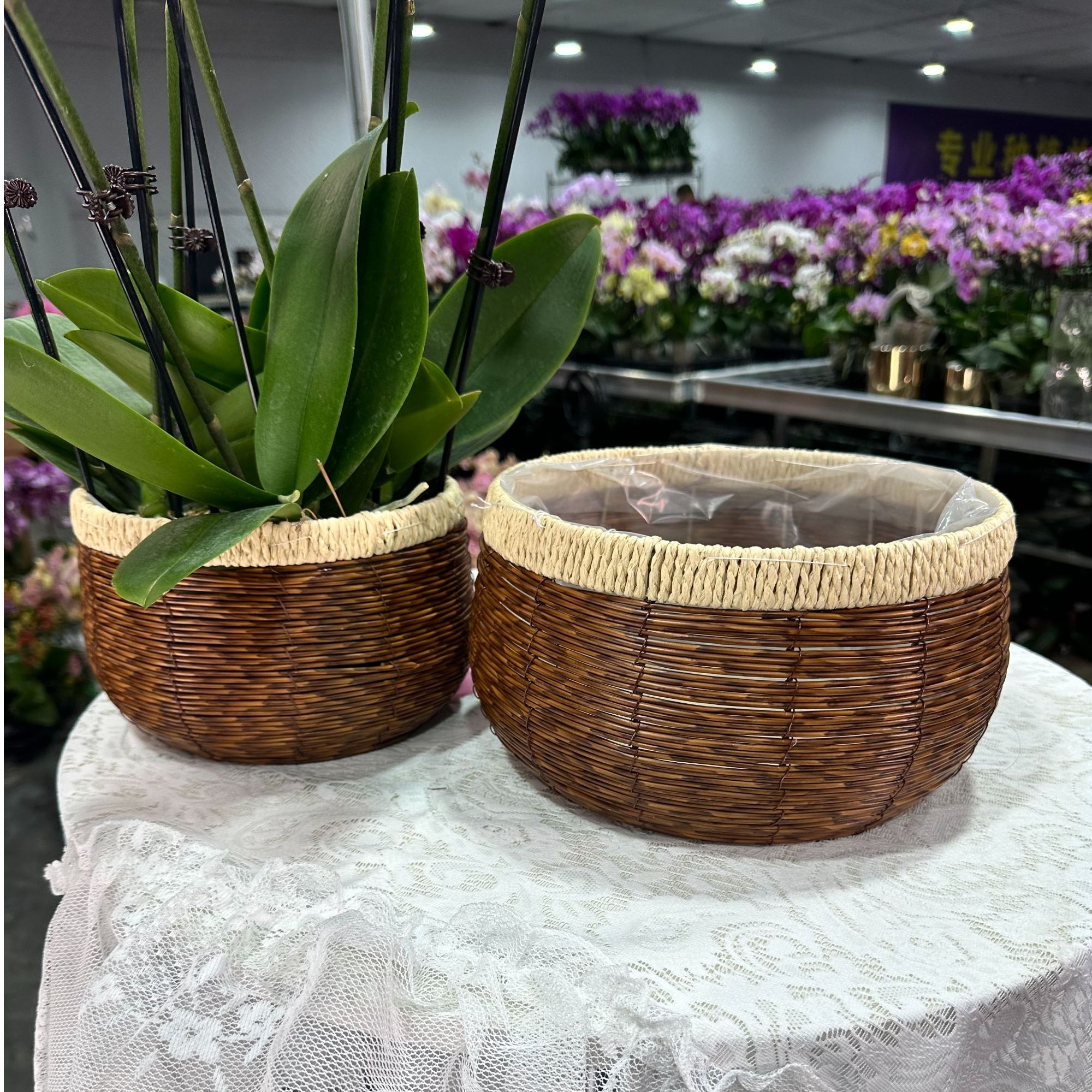 鲜花[手工编织篮]仿藤编筐蝴蝶兰伴侣花盆