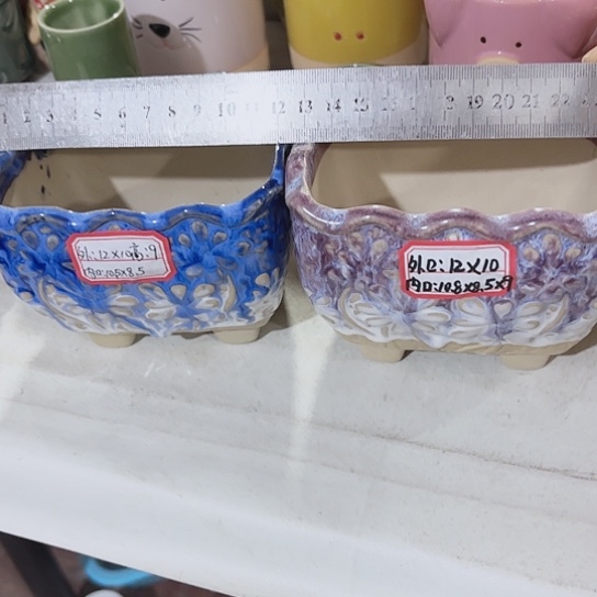 花盆里11111111111111111111