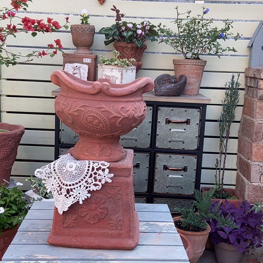 417加388一套送蕾丝