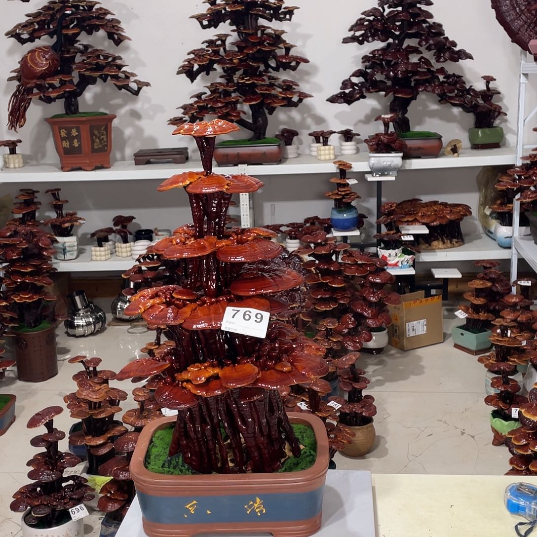 无花朵88888888888888